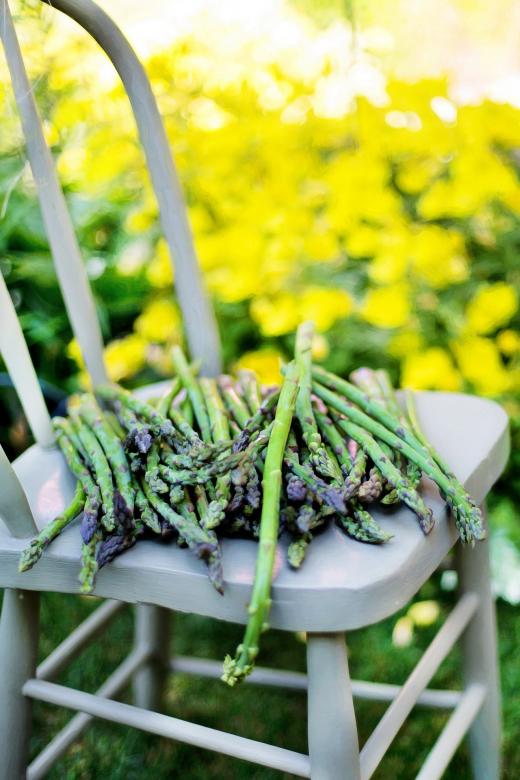 Free stock image of Asparagus on the Chair created by Pixabay