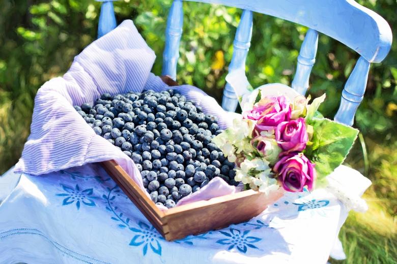 Free stock image of Fresh Blueberries created by Pixabay