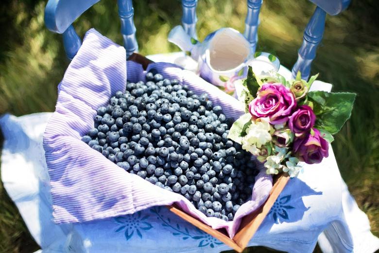 Free stock image of Blueberries in the Basket created by Pixabay