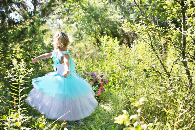 Free stock image of Princess in the Wild created by Pixabay