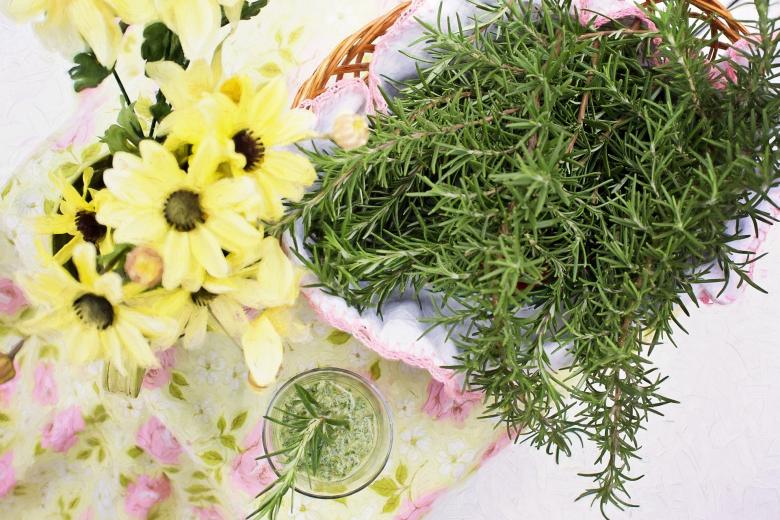 Free stock image of Fresh Rosemary created by Pixabay