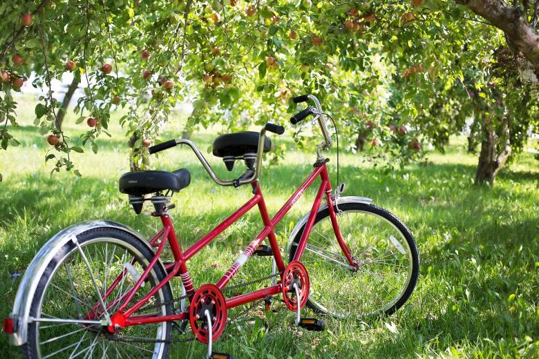 Free stock image of Tandem Bike created by Pixabay