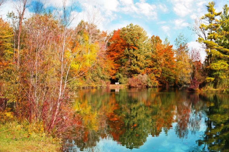 Free stock image of Autumn created by Pixabay
