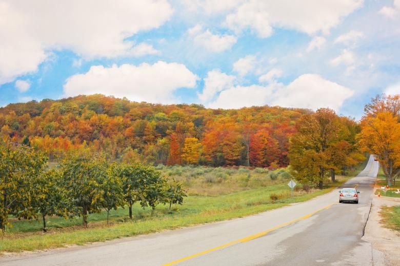 Free stock image of Colors of Autumn created by Pixabay