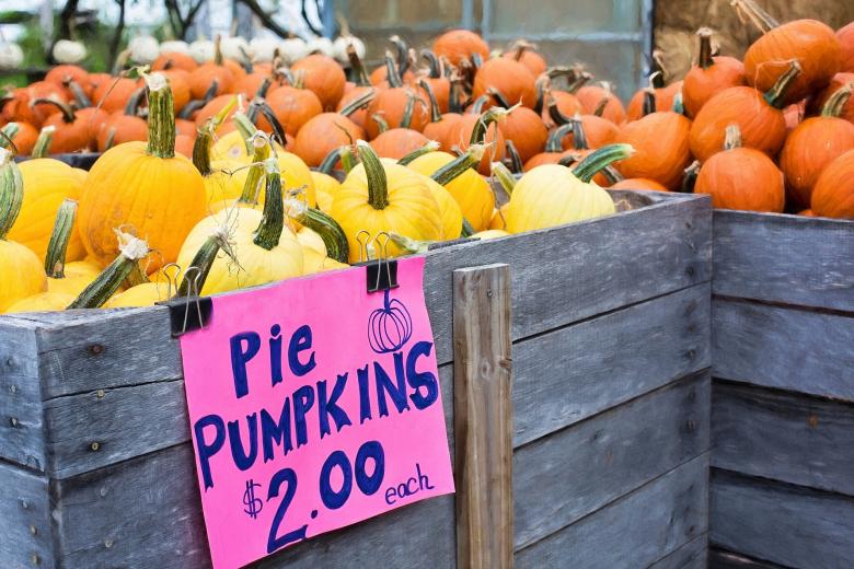 Free stock image of Deal on Pumpkins created by Pixabay
