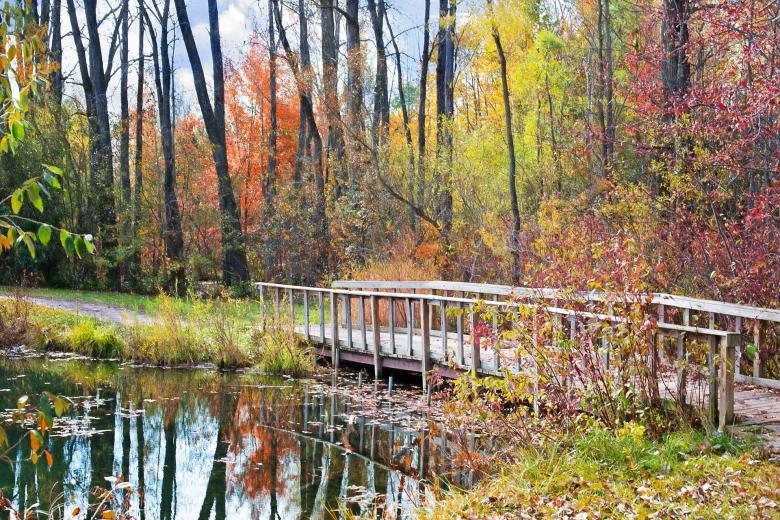 Free stock image of Wooden Bridge created by Pixabay