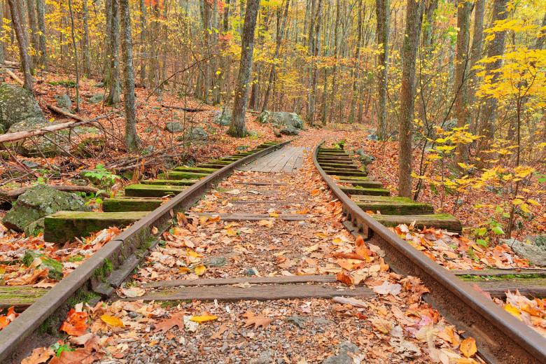 Free stock image of Autumn Logging Railroad - HDR created by Nicolas Raymond