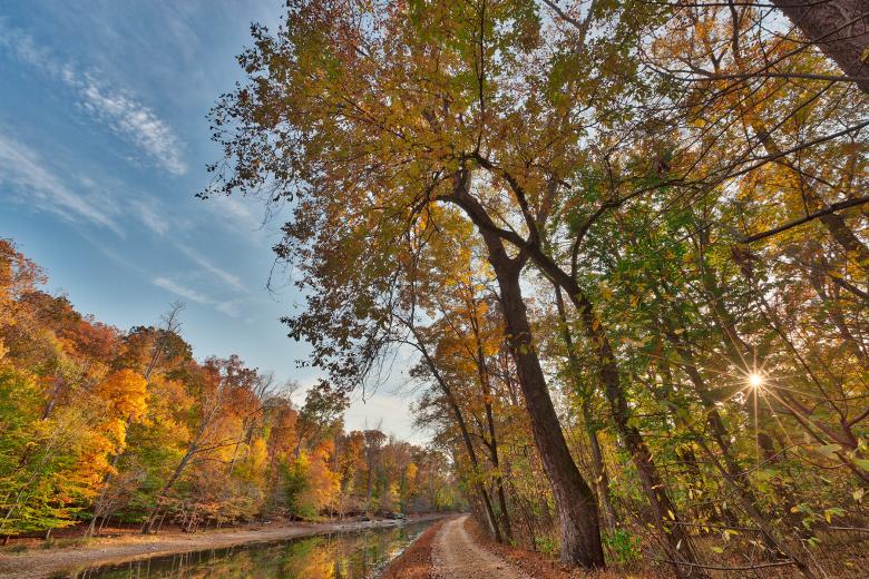 Free stock image of Autumn Sun Kissed Canal - HDR created by Nicolas Raymond