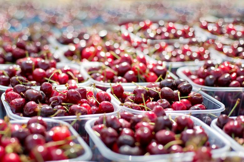 Free stock image of Cherry Packing created by Pixabay