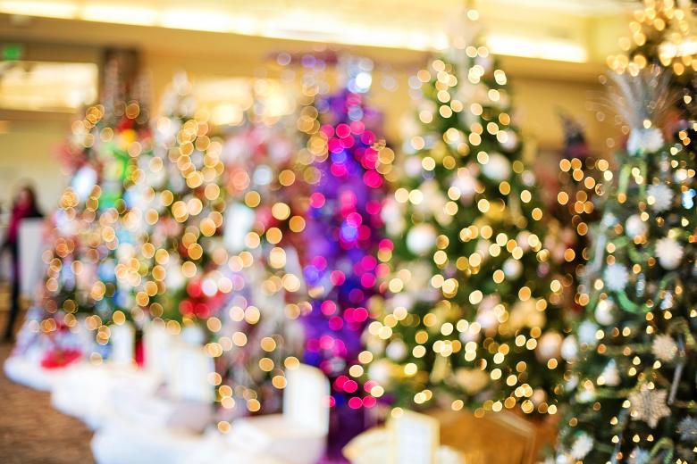 Free stock image of Christmas Trees created by Pixabay