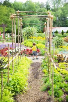 Free Stock Photo of Child in the Garden