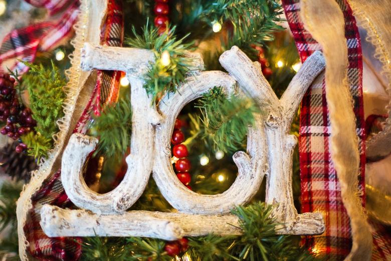 Free stock image of Joy created by Pixabay