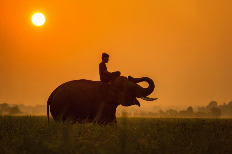 Free stock image of Elephant Ride created by Pixabay