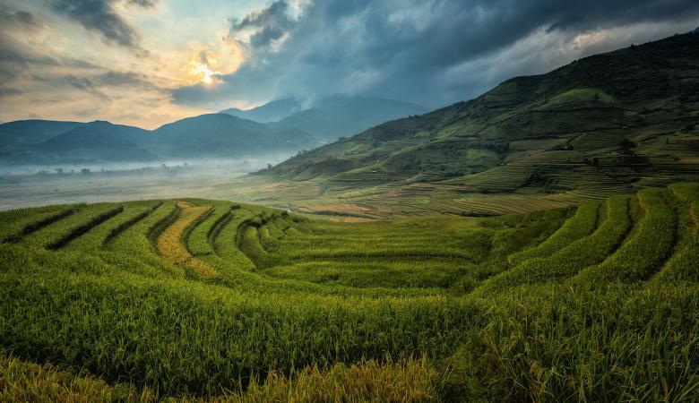 Free stock image of Mountainous Rice Plantation created by Pixabay