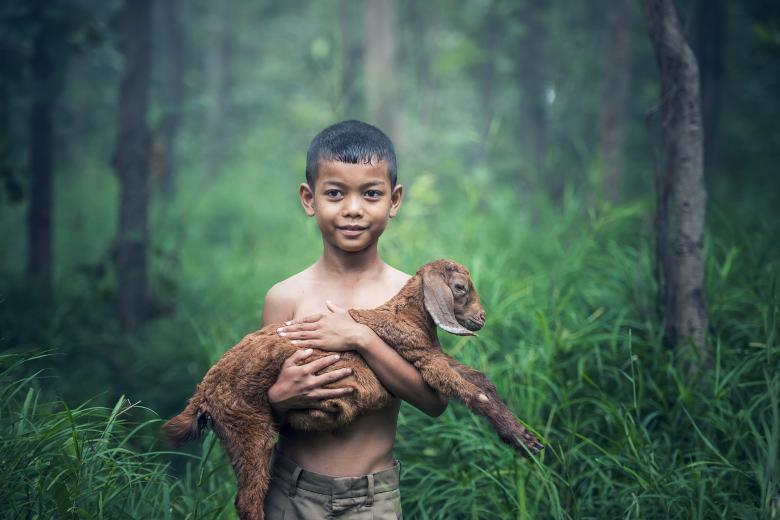 Free stock image of Little Boy with Goat created by Pixabay