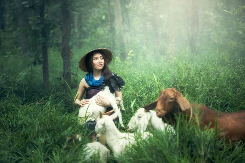 Free stock image of Portrait with the Goats created by Pixabay
