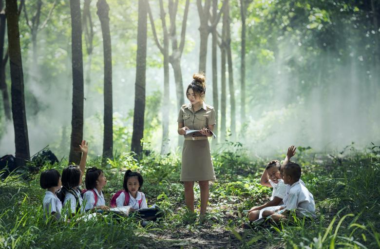 Free stock image of Teaching in the Wild created by Pixabay