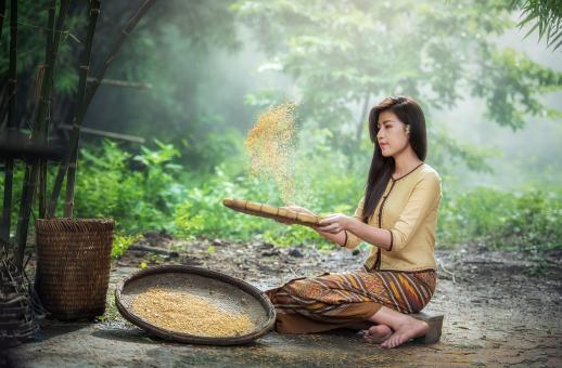 Free Stock Photo of Girl Checking Rice