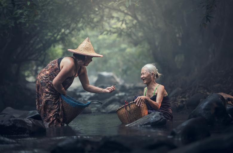 Free stock image of In the Jungle created by Pixabay