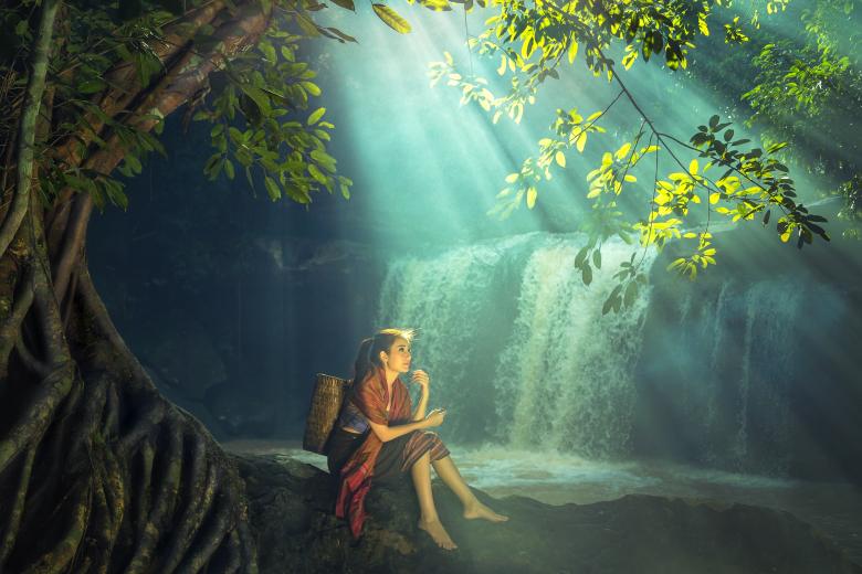 Free stock image of Into the Wild created by Pixabay
