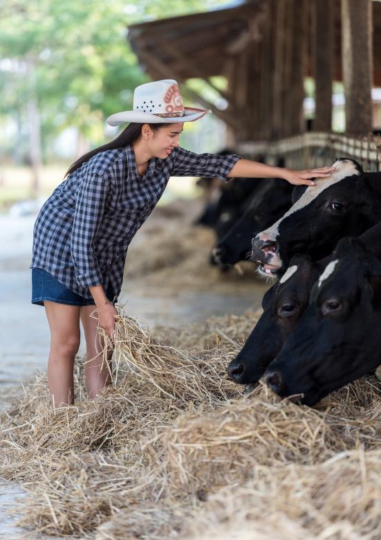 Free stock image of Feeding Animals created by Pixabay