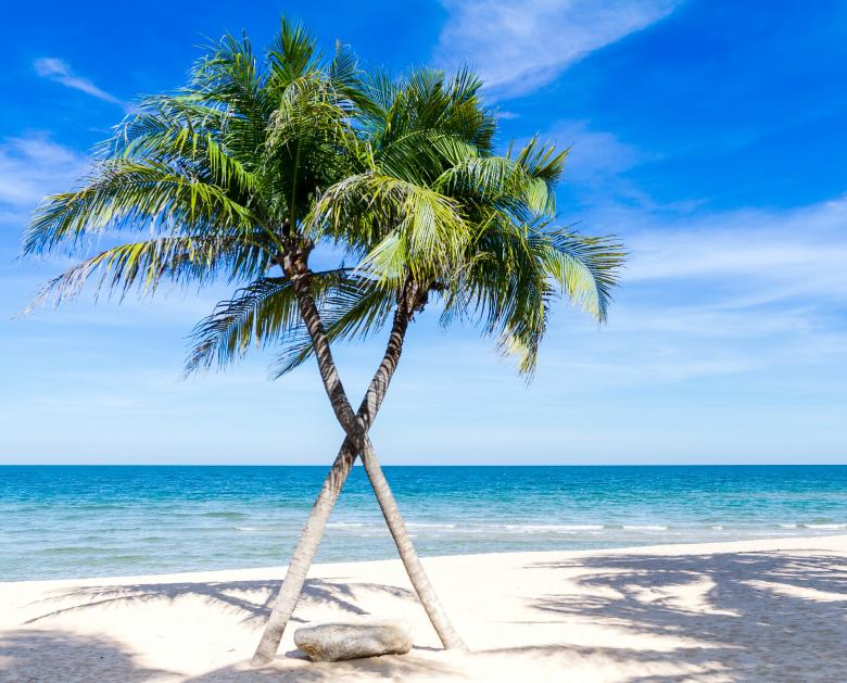 Free stock image of Atlantic Ocean created by Pixabay