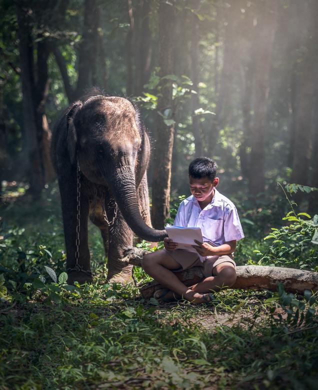 Free stock image of Kid with the Elephant created by Pixabay