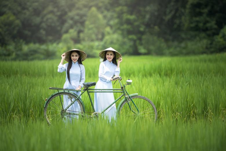 Free stock image of Ladies with the Cycle created by Pixabay