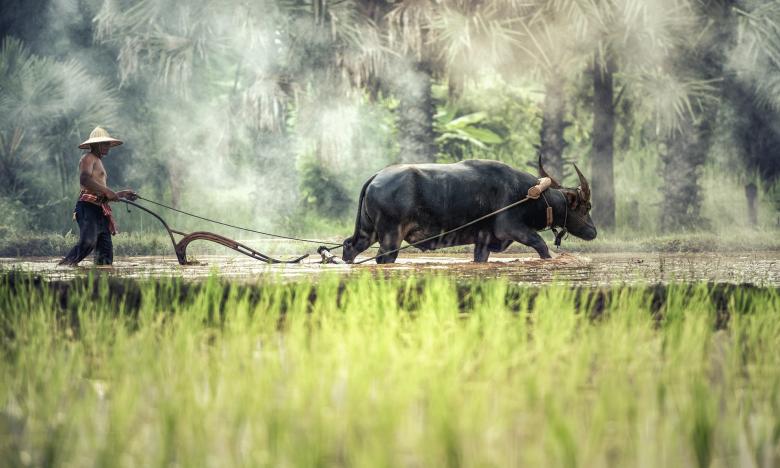 Free stock image of Field Work created by Pixabay