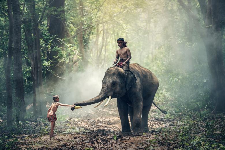 Free stock image of Elephant Ride created by Pixabay