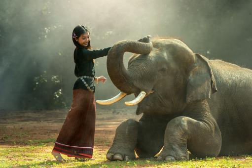 Free Stock Photo of Girl With the Elephant