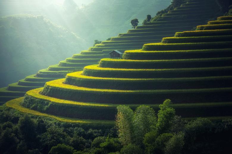 Free stock image of Rice Farming created by Pixabay