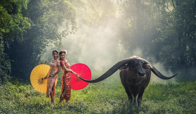 Free stock image of Ladies with the Cow created by Pixabay