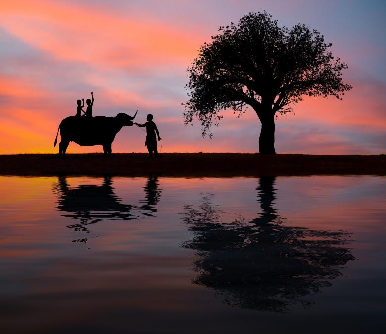 Free stock image of Elephant Ride created by Pixabay