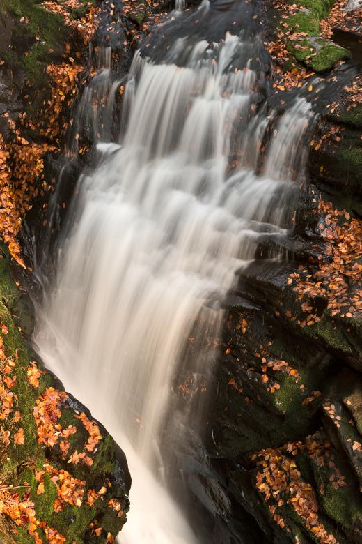 Free stock image of Bushkill Autumn Falls created by Nicolas Raymond
