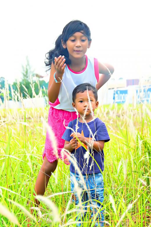 Free stock image of Fun in the Bush created by Satrio aribowo