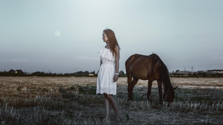 Free stock image of Photo Session with a Horse created by Pixabay