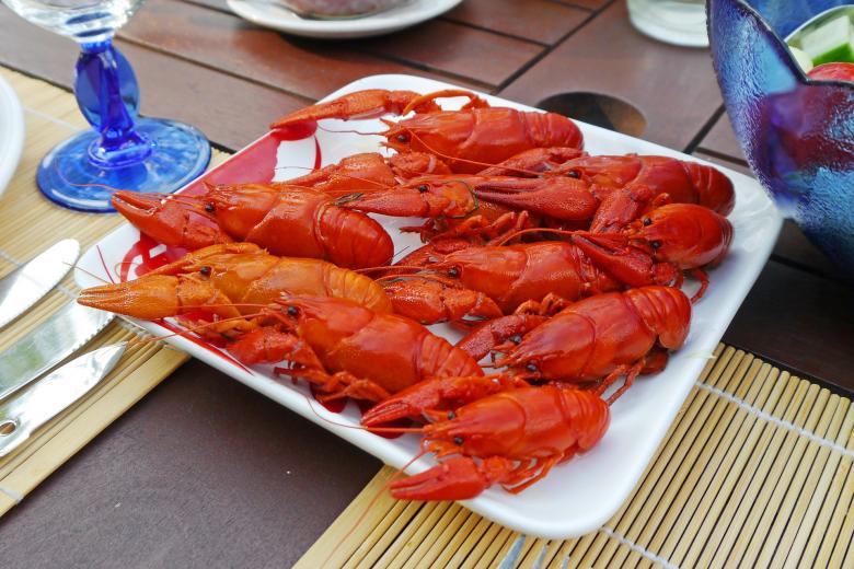 Free stock image of Lobster Dish created by Pixabay