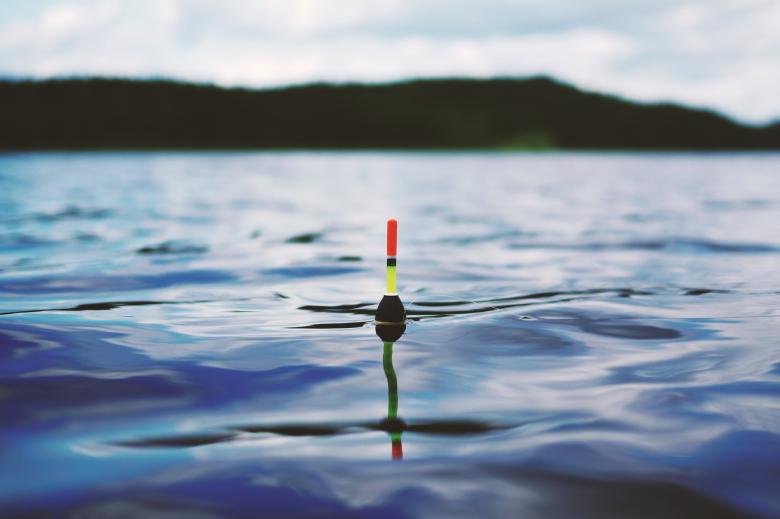 Free stock image of Floating in the Water created by Pixabay