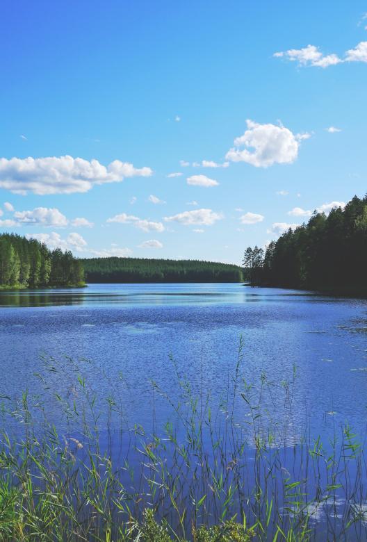 Free stock image of Lake View created by Pixabay