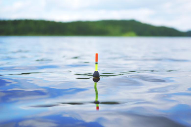 Free stock image of Floating in the Lake created by Pixabay