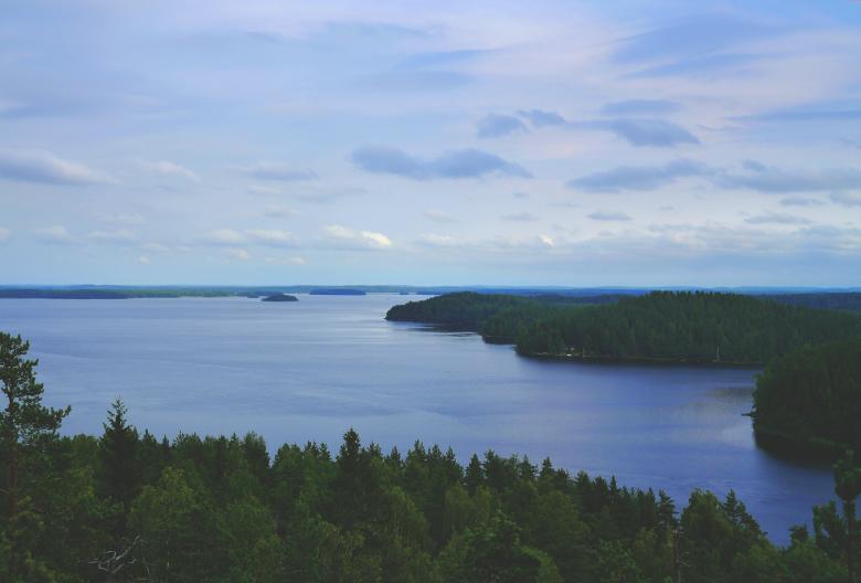 Free stock image of Forest on the Island created by Pixabay