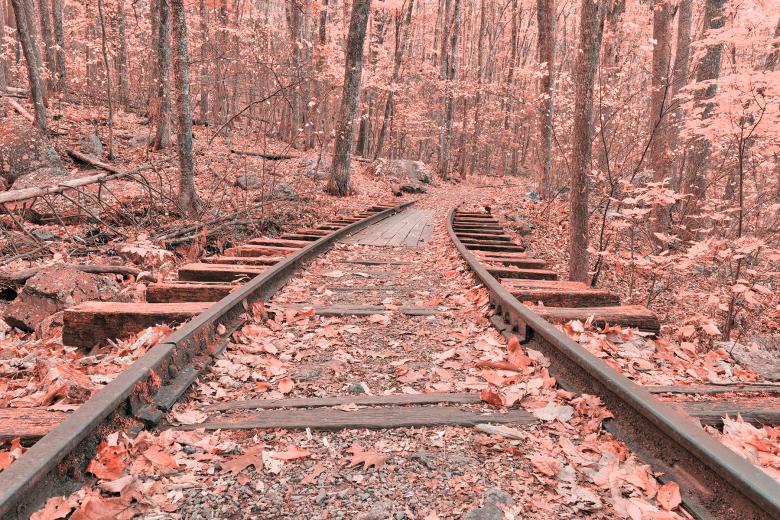 Free stock image of Pink Autumn Logging Railroad - HDR created by Nicolas Raymond