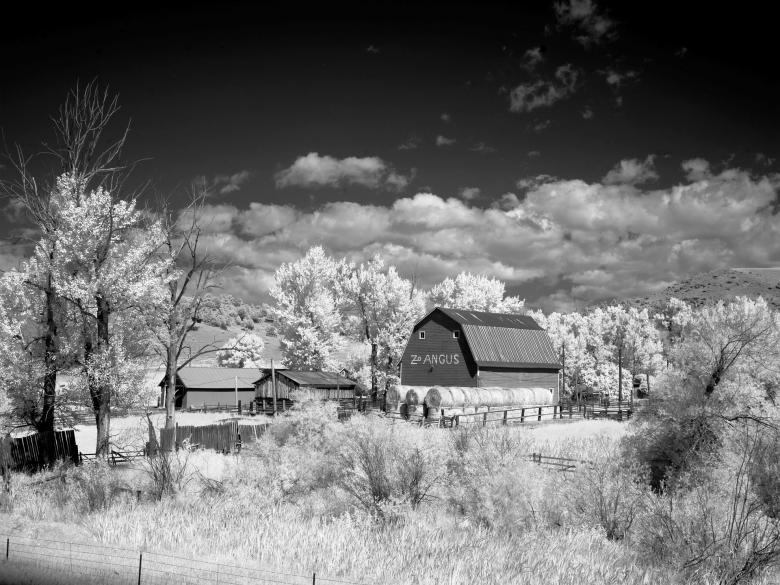 Free stock image of Barn in the Farm created by Pixabay