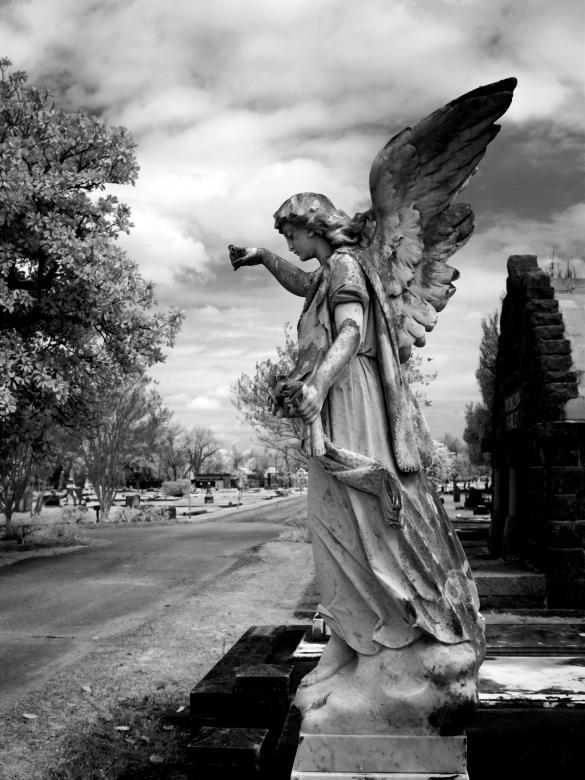 Free stock image of In the Graveyard created by Pixabay