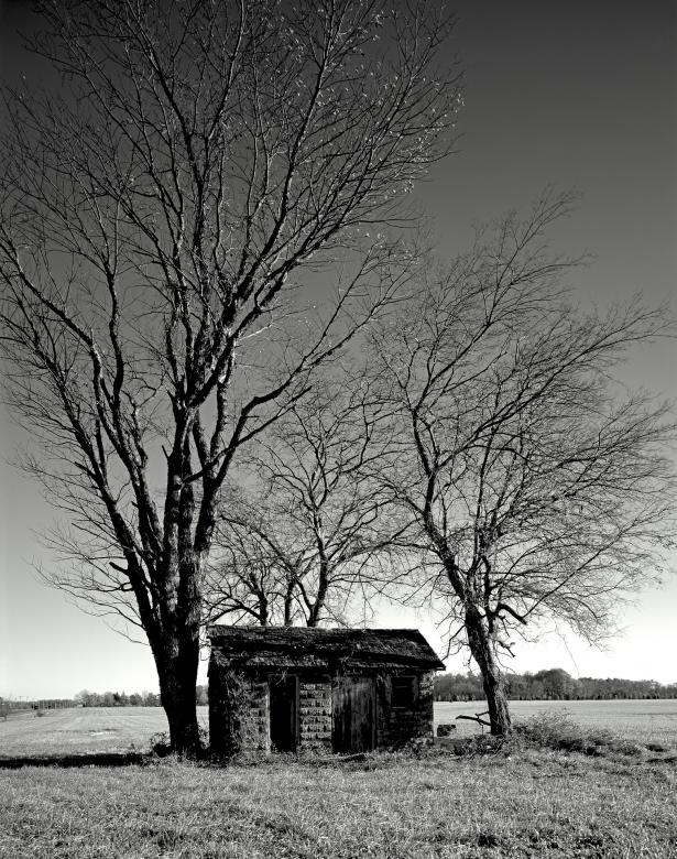 Free stock image of Hut with Trees created by Pixabay