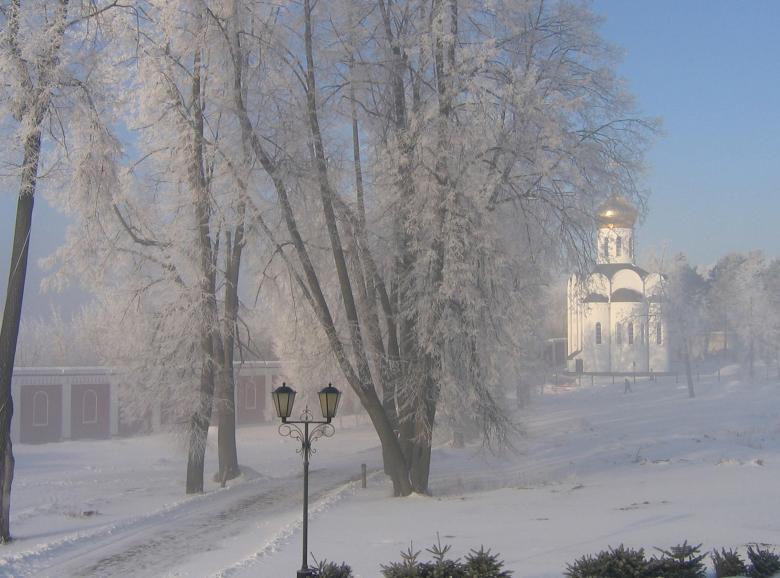 Free stock image of Snowfall in Winter created by Pixabay