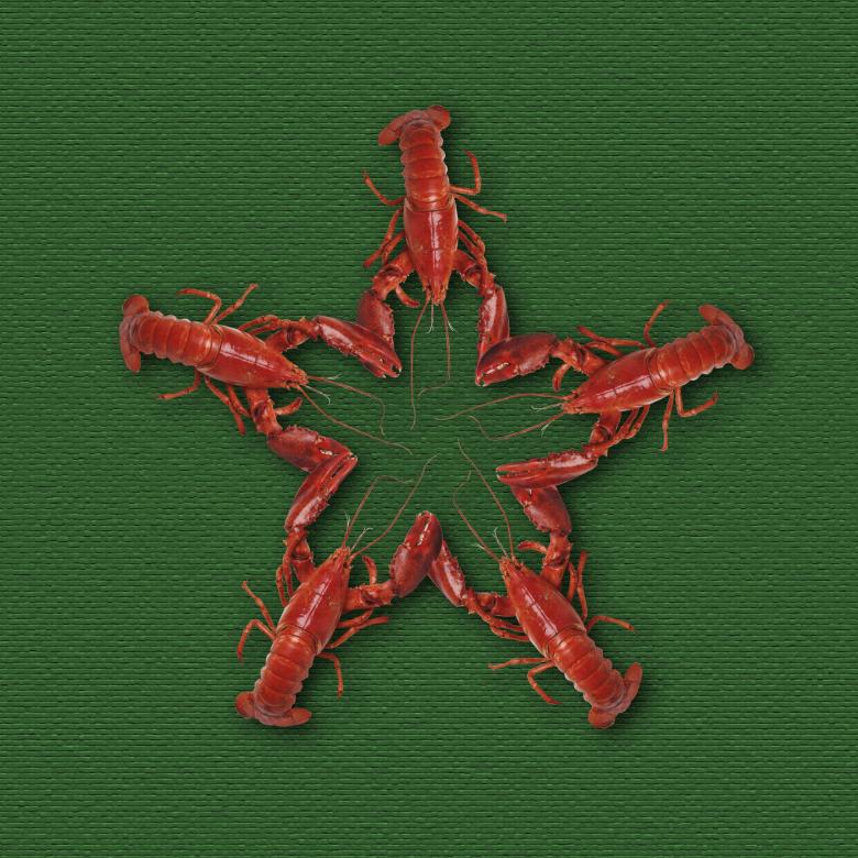 Free stock image of Bunch of Crayfish created by Pixabay