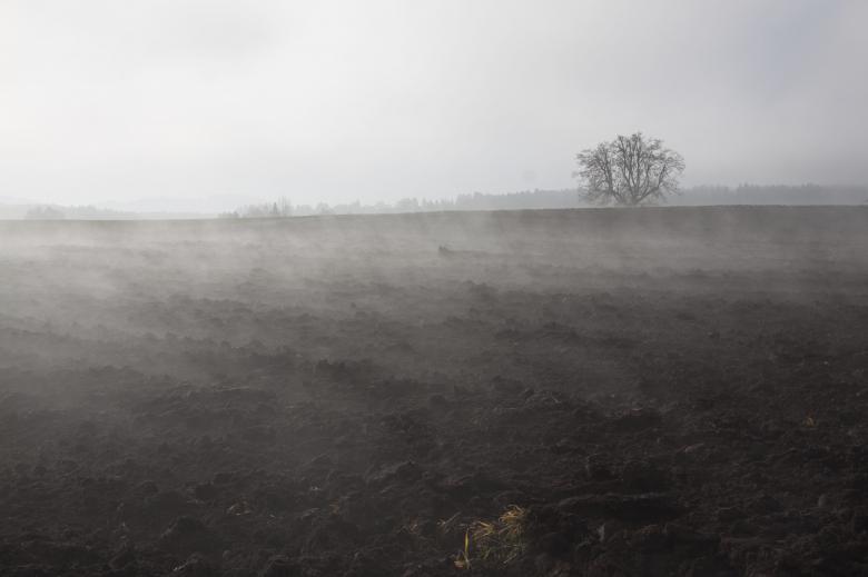 Free stock image of Foggy Winter Morning created by Pixabay