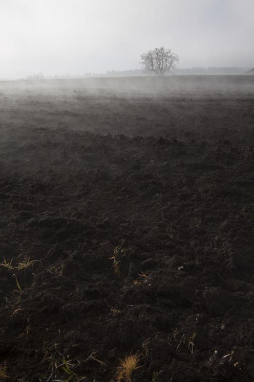 Free stock image of Foggy Winter Morning created by Pixabay